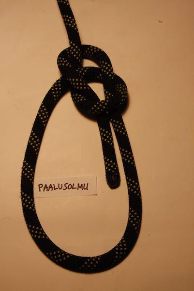 Tiedosto:Paalusolmu 1.jpeg